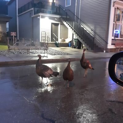 Profile Picture of Dan Braun (@DanBrau06043192) on Twitter