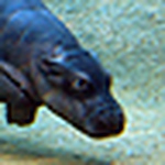 Profile Picture of Michael Mccall (@happyheathen85) on Flickr