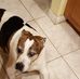 Profile Picture of Bobbi Coker (@bobbi.coker.31) on Facebook