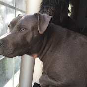 Profile Picture of Sean Snow (@Sean44496) on Youtube