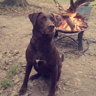 Profile Picture of Devin Broussard (@DevinBroussard8) on Twitter