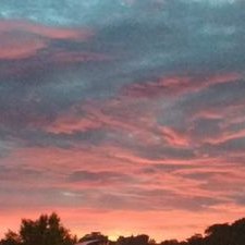 Profile Picture of Carlo Jose (@CarloJo17594167) on Twitter