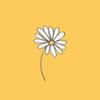 Profile Picture of Stella Wolfe912 (@@stella.wolfe.07) on Tiktok