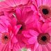 Profile Picture of Jacqueline Nicholson (@jacqueline.nicholson.9277) on Facebook
