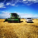 Profile Picture of Pierce King (@alberta_farmboy) on Instagram