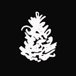 Profile Picture of Joe Pine Coffee Co. (@joepinecoffee) on Instagram
