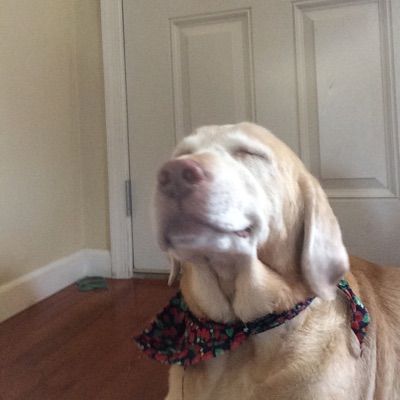 Profile Picture of Dylan Bogart (@dylanbogart) on Tiktok