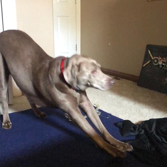 Profile Picture of Tyler Hadaway (@thada45) on Poshmark