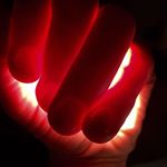 Profile Picture of Richard Tognetti (@richardltognetti) on Instagram