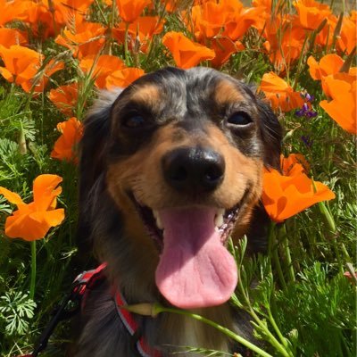 Profile Picture of Rita M. Ayers (@RitaMAyers2) on Twitter