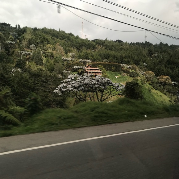 Profile Picture of Veronica Calad (@verocalad) on Poshmark