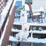 Profile Picture of Constance Woods (@constance.woods) on Instagram