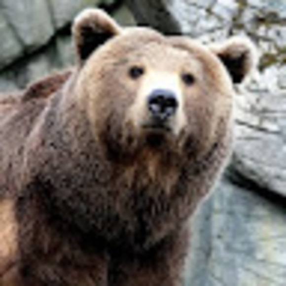 Nora Kelley - Poshmark Profile Picture of Nora Kelley (@norakelley82008) on Poshmark