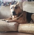 Amanda Booth - Facebook Profile Picture of Amanda Booth (@Amanda-Booth) on Facebook