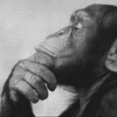 Profile Picture of John Winger IIIon Twitter