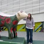 Profile Picture of Pam Doyle (@pam.doyle.10) on Instagram