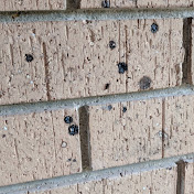 Profile Picture of James Newport (@jamnew) on Youtube