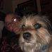 Profile Picture of Pyles Jim (@jim.pyles.50) on Facebook