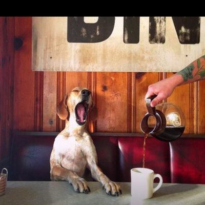 Profile Picture of Chris Maley (@chrismalry83) on Twitter