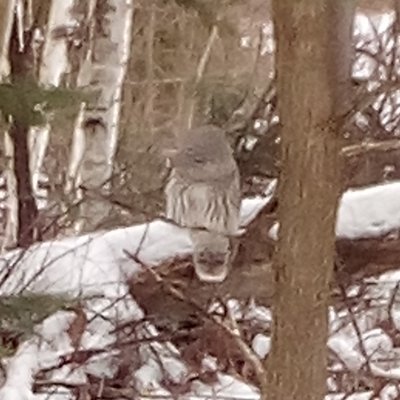 Trevor Badour - Twitter Profile Picture of Trevor Badour (@BadourTrevor) on Twitter