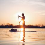 >>FORREST PADDLE BOARDING<< - Instagram Profile Picture of >>FORREST PADDLE BOARDING<< (@forrestpaddleboarding) on Instagram