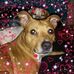 Profile Picture of Ruby Clayton (@ruby.clayton.710) on Facebook