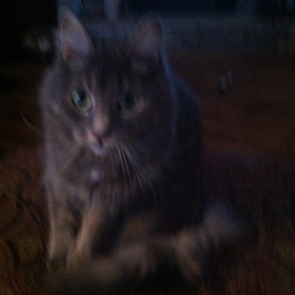 Profile Picture of Lisa Haines (@silverwithstyle) on Poshmark