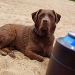 Profile Picture of Richard V Denney (@denney.richard) on Instagram