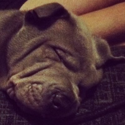 Profile Picture of Kyle Vick (@Kyl3Vick) on Twitter