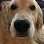 Profile Picture of Del Maynard Raymond (@conniedellasue) on Instagram