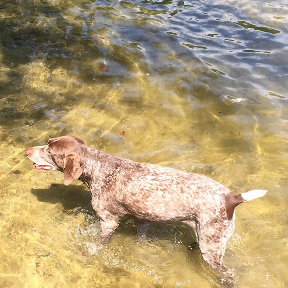 Profile Picture of Emily Wurdemann (@ewurd) on Poshmark