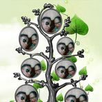 Profile Picture of Alexandre Ly Alexandre (@alexandre.l.alexandre.3) on Facebook