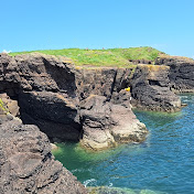 Sean O'Callaghan - Youtube Profile Picture of Sean O'Callaghan (@speedypopcorn7884) on Youtube