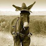 Profile Picture of Barry Helms (@helmsbarry) on Instagram