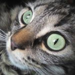 Profile Picture of Jose Lorenzo Serafin Vidal (@jose_serafin_vidal) on Instagram