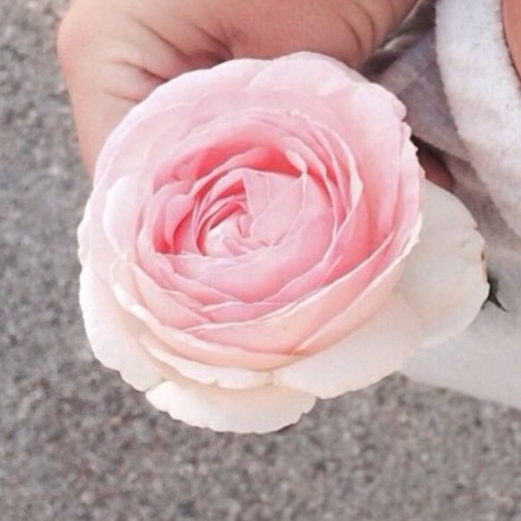 Natalie Voloshchuk - Poshmark Profile Picture of Natalie Voloshchuk (@natalievolo) on Poshmark