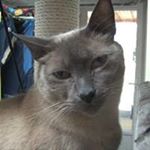 Profile Picture of Edith Fred (@edithfred26) on Instagram