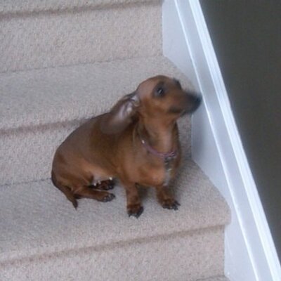 Cheryl Thompson - Twitter Profile Picture of Cheryl Thompson (@cmtga) on Twitter