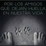 Profile Picture of Jose Luis Rivera Tejrdor (@chispirey67) on Instagram