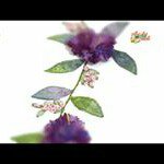 Profile Picture of Awilda Ramirez (@ramirez.awilda) on Instagram