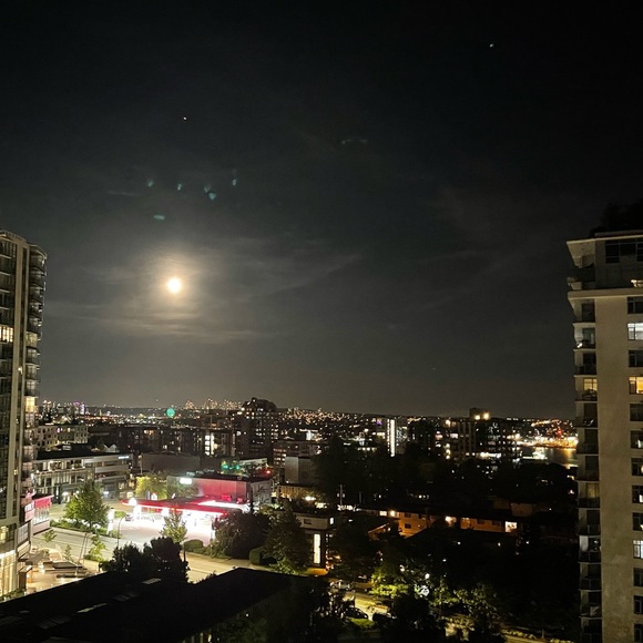 Profile Picture of Mitra Golehkheili (@mgolehkheili) on Poshmark