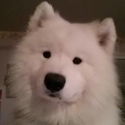 Profile Picture of Christian Weldon (@USSCS55) on Twitter