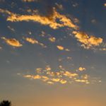 Profile Picture of Brody (@brian_brody_678) on Instagram