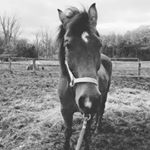 Profile Picture of Madelynn (@maddiquinn1) on Instagram