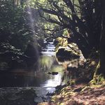 Profile Picture of David Connolly (@david_connolly_223) on Instagram