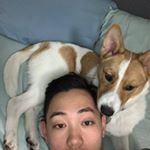 Profile Picture of Danny Xu (@dannyshoebox) on Instagram
