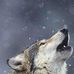 Profile Picture of Jeremy Decker (@jeremy.decker.3551) on Facebook
