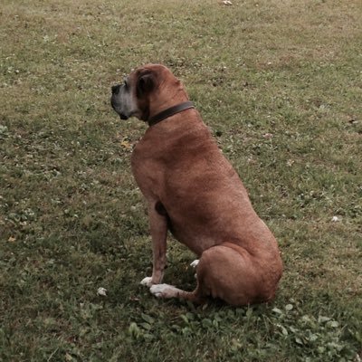 Profile Picture of Jeff Barch (@Jbarch21) on Twitter