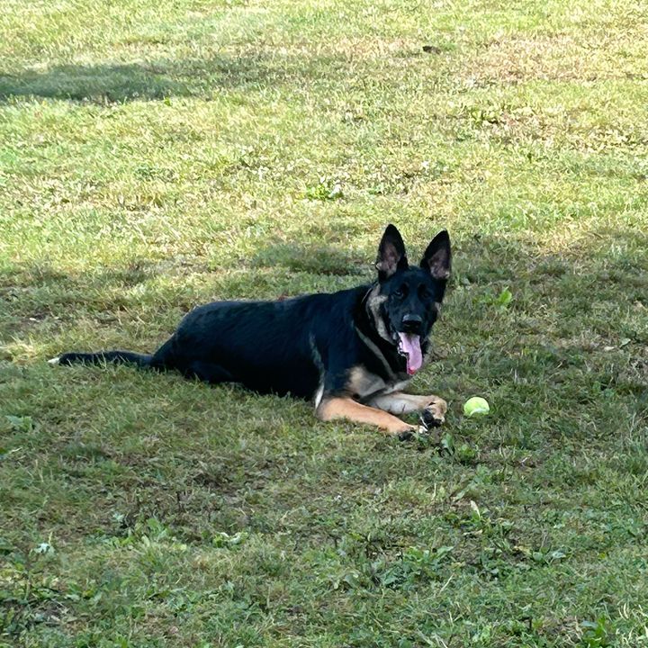 Profile Picture of Ryan Balch (@ryan.balch) on Tiktok