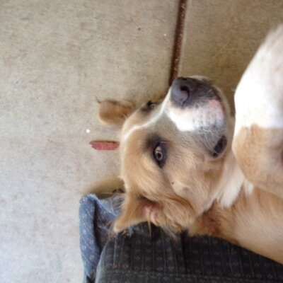 Profile Picture of Karen Hinds (@hinds_karen) on Twitter